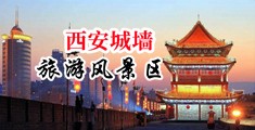 欧州女人操逼内射中国陕西-西安城墙旅游风景区